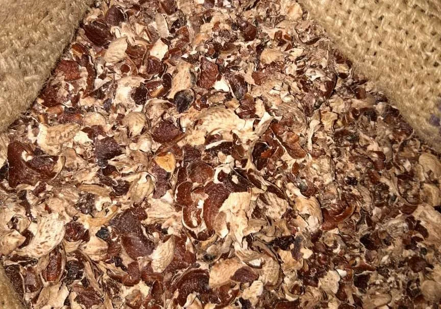 Best Ways for Cashew Husk Buyers to Connect With Leading Cashew Husk Importers & Sellers in India