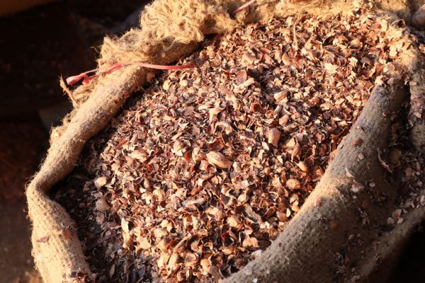 Indian-Cashew-Husk