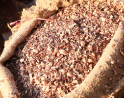 Indian Cashew Husk