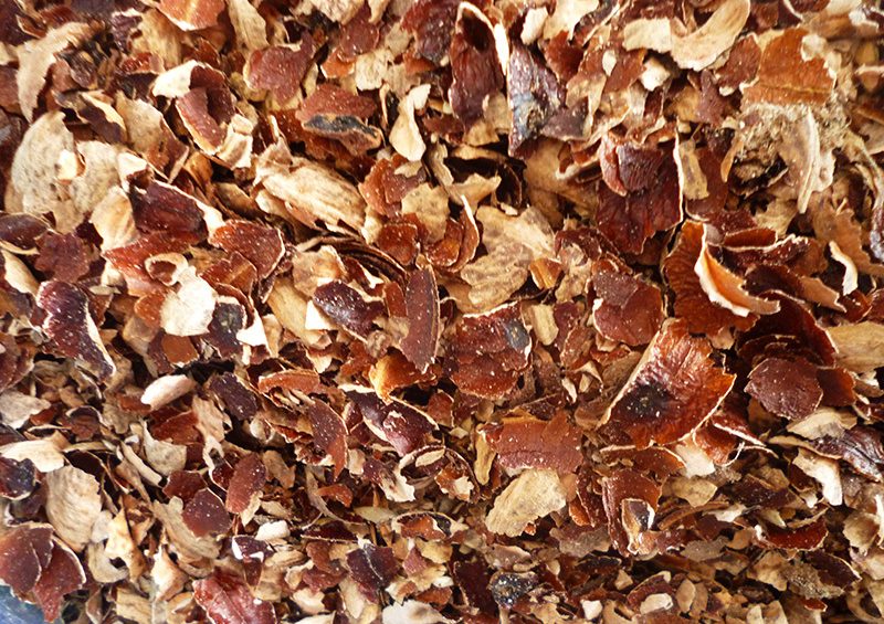 Cashew Husk Suppliers & Importers in India-Kattha Bazaar